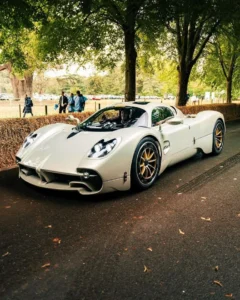 Pagani Car Price in India 