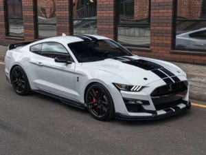 Mustang Gt Price in India
