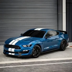 Mustang Price in India
